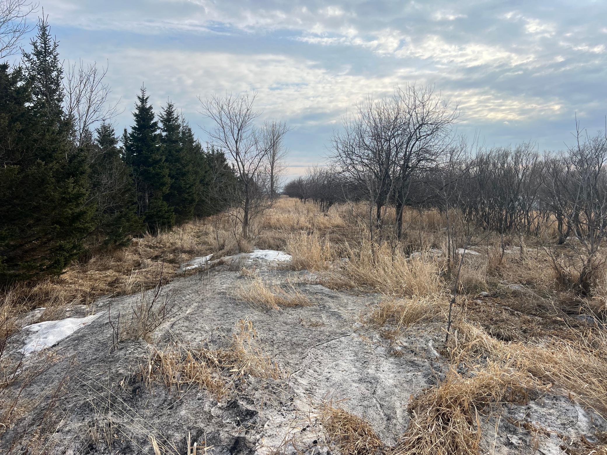 TBD 240 Avenue, Elbow Lake, Minnesota image 40