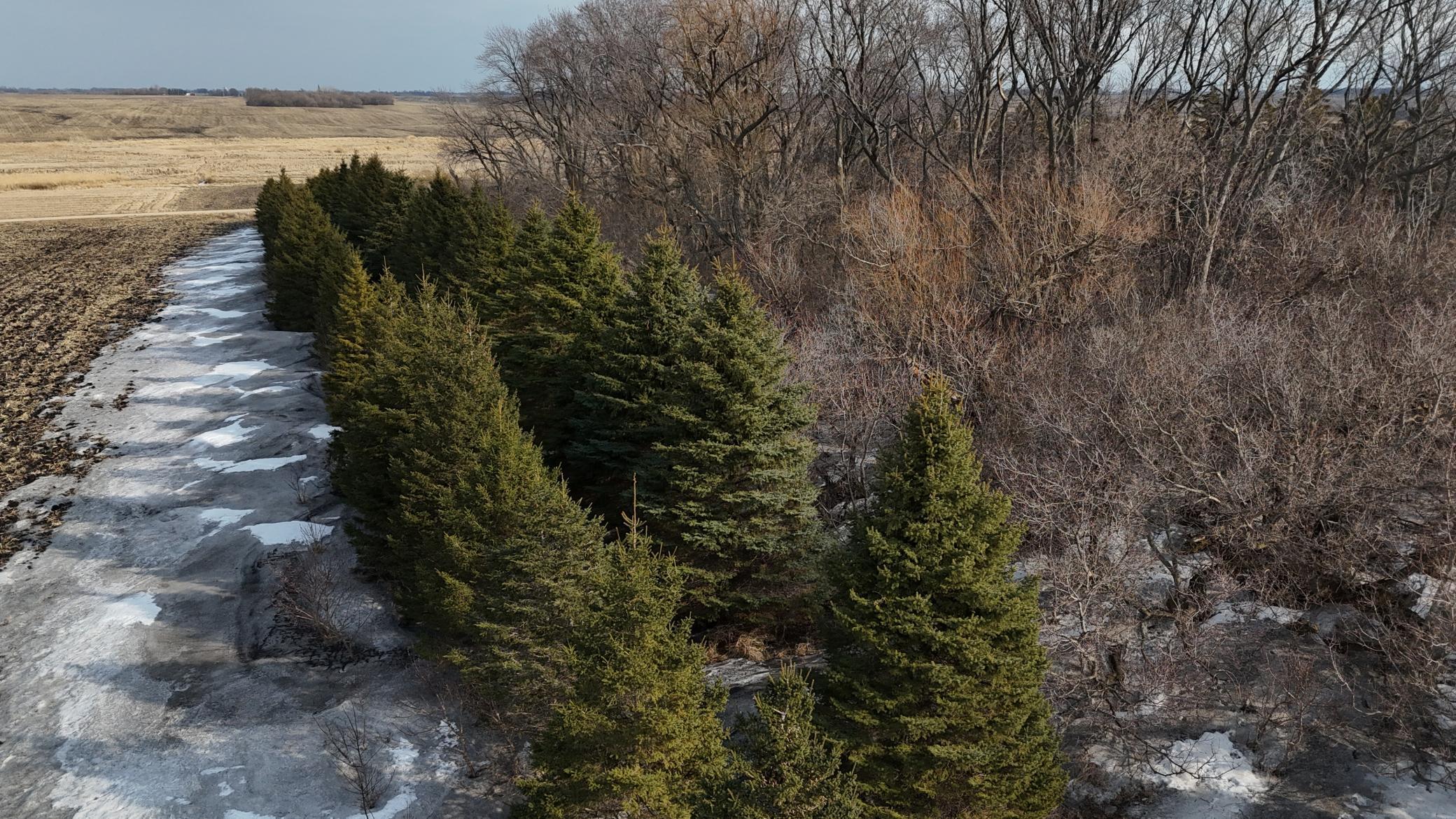 TBD 240 Avenue, Elbow Lake, Minnesota image 33