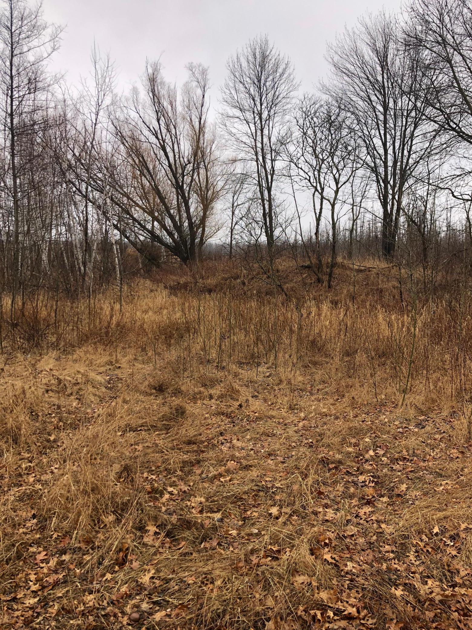 TBD 288th Lane, Aitkin, Minnesota image 7