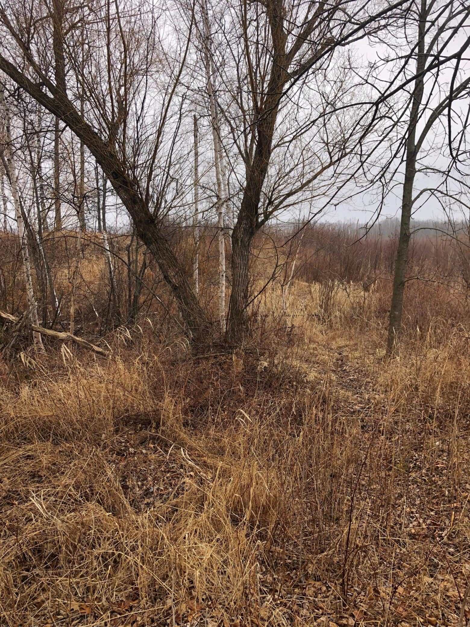 TBD 288th Lane, Aitkin, Minnesota image 6