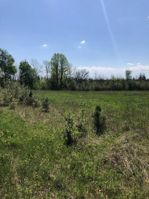 TBD 288th Lane, Aitkin, Minnesota image 7