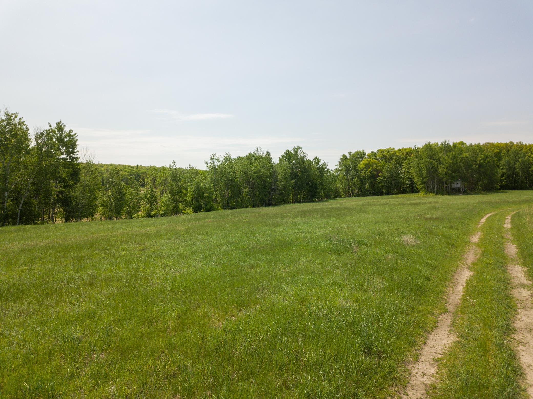 TBD Highway 210, Staples, Minnesota image 6