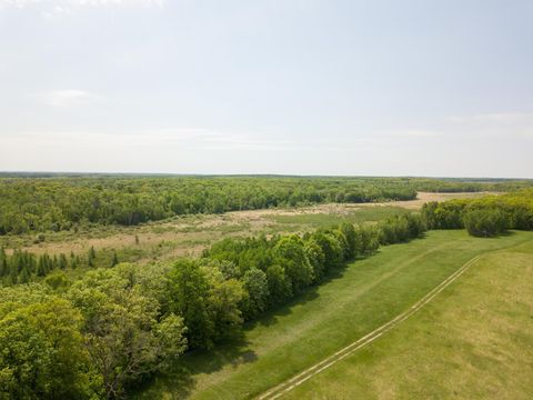 Vacant Land For Sale - TBD Highway 210<br/> Todd County, Staples, MN 56479