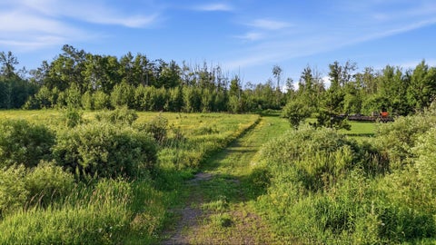 Vacant Land For Sale - TBD Florence Dr<br/> Moose Lake, MN 55767