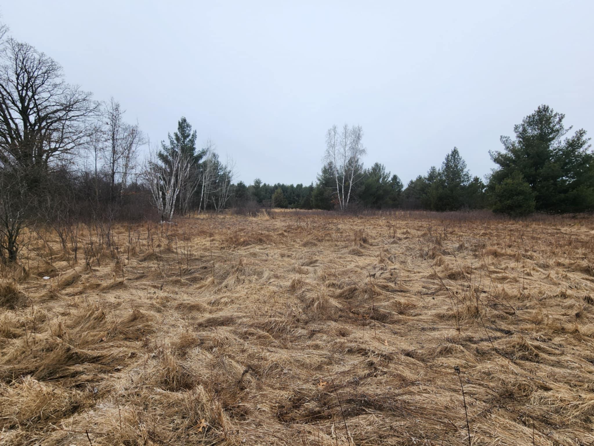 1201 Walnut Street, Mora, Minnesota image 4