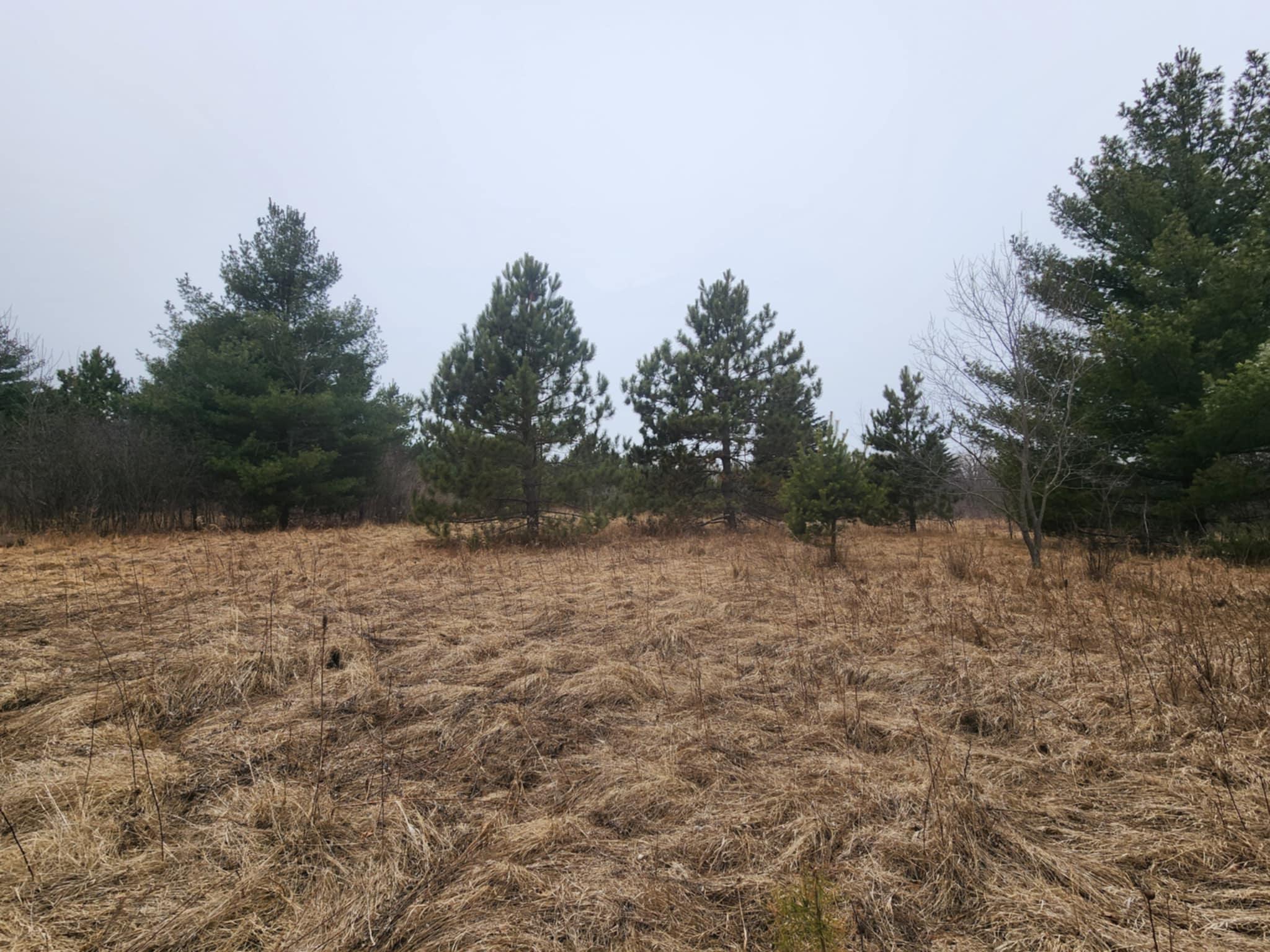 1201 Walnut Street, Mora, Minnesota image 15
