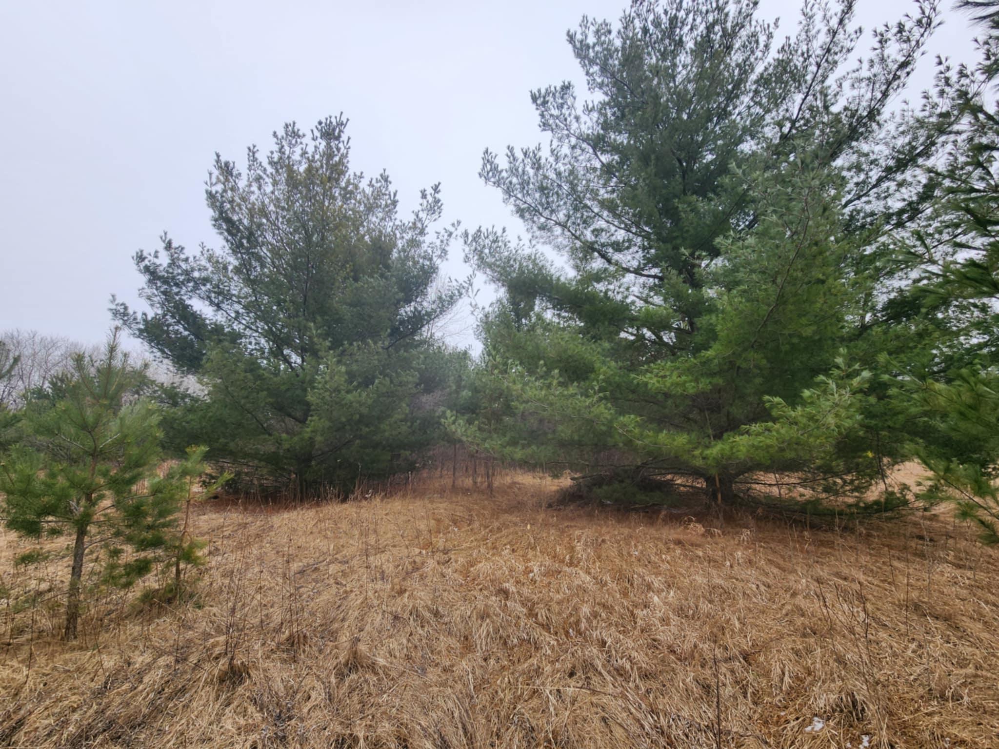 1201 Walnut Street, Mora, Minnesota image 12
