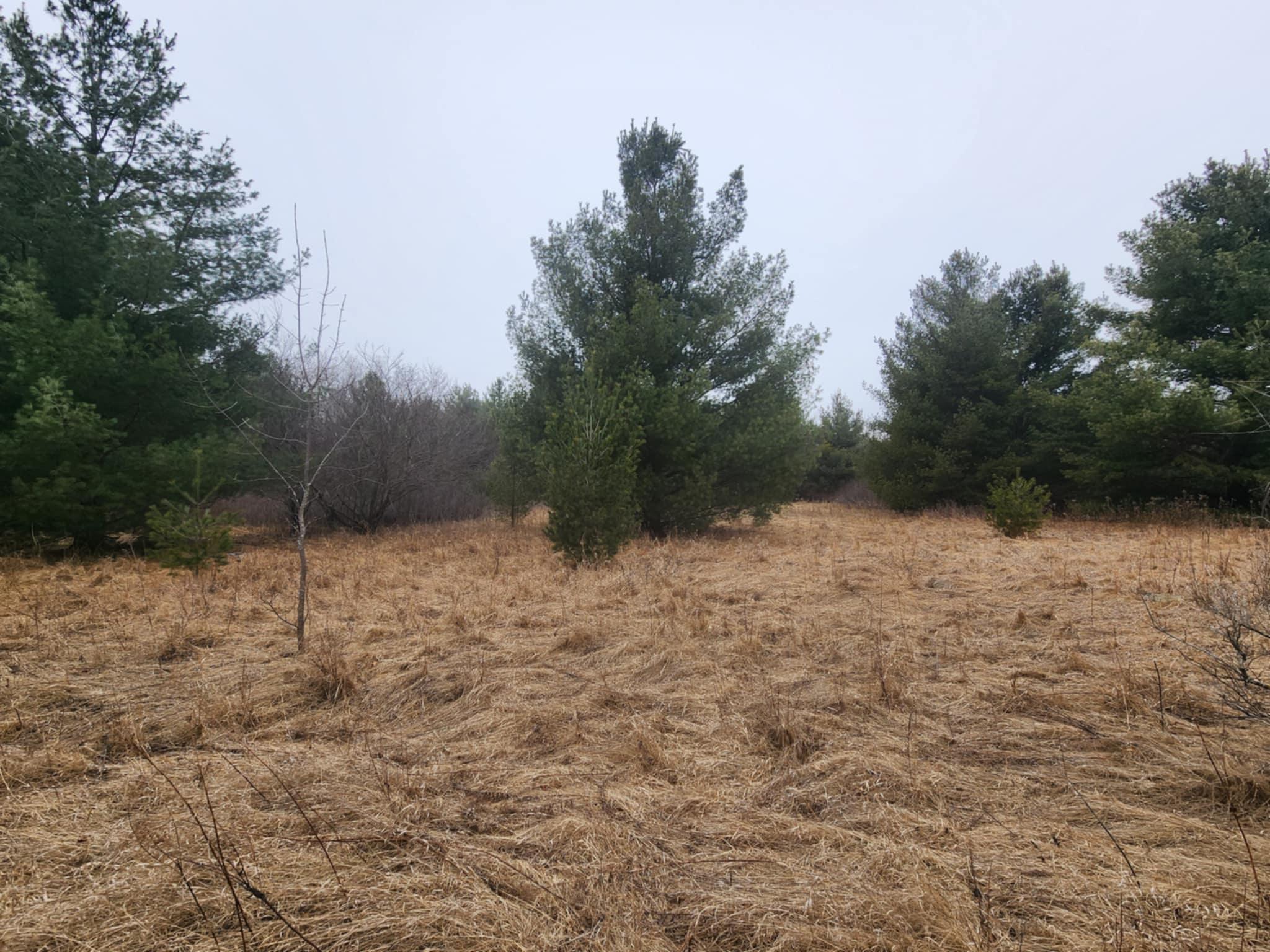 1201 Walnut Street, Mora, Minnesota image 20