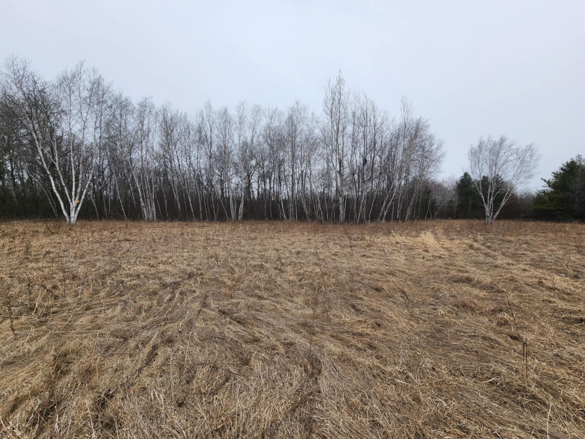 1201 Walnut Street, Mora, Minnesota image 6