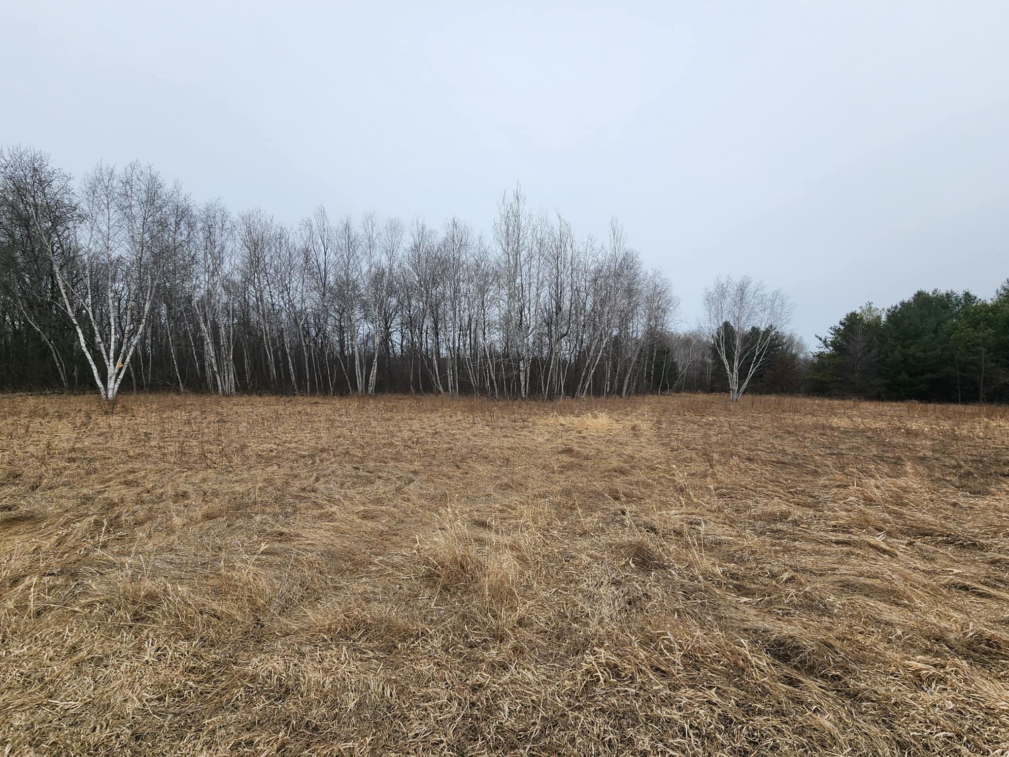 1201 Walnut Street, Mora, Minnesota image 3