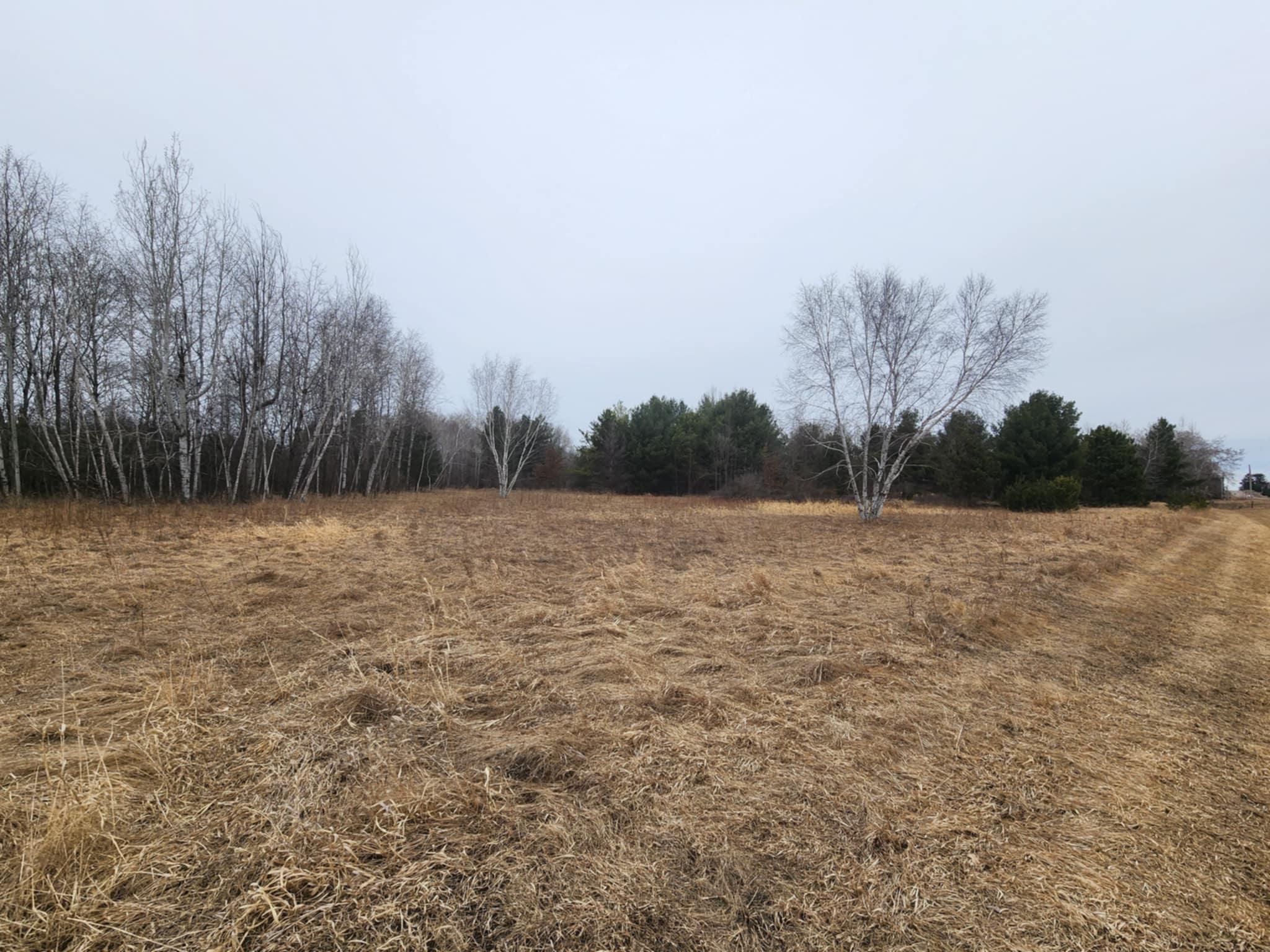 1201 Walnut Street, Mora, Minnesota image 19