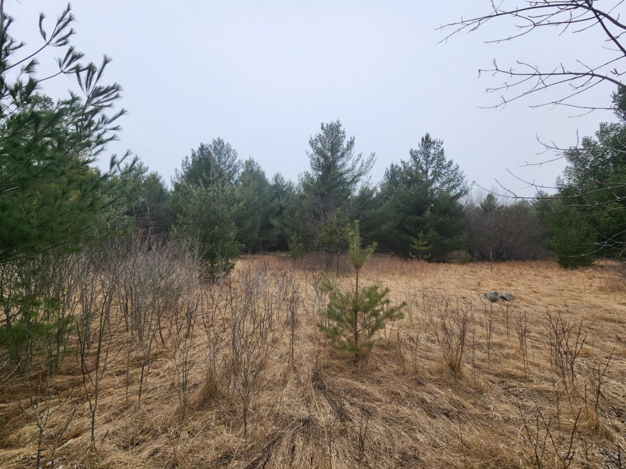 1201 Walnut Street, Mora, Minnesota image 23