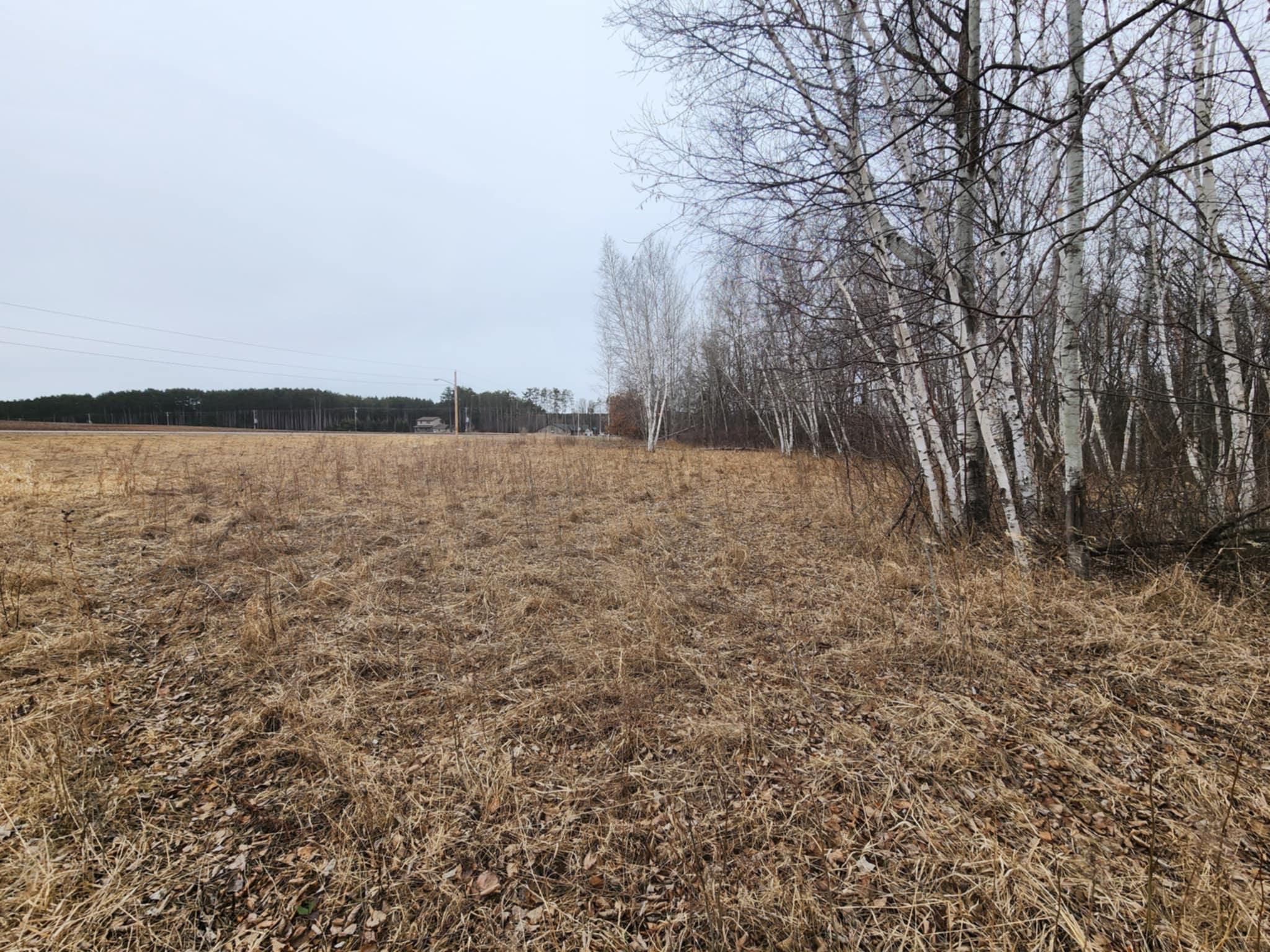 1201 Walnut Street, Mora, Minnesota image 14