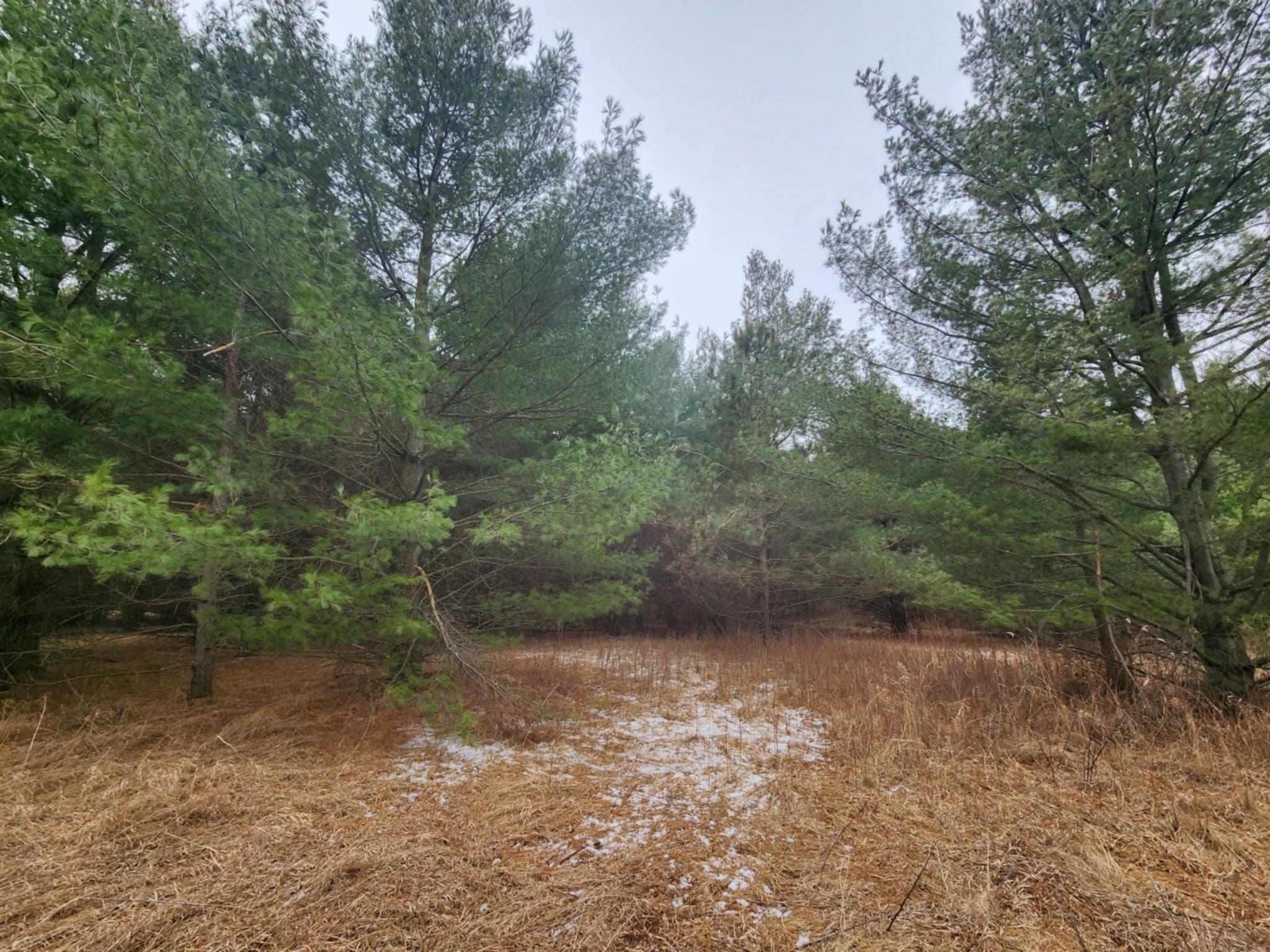 1201 Walnut Street, Mora, Minnesota image 24
