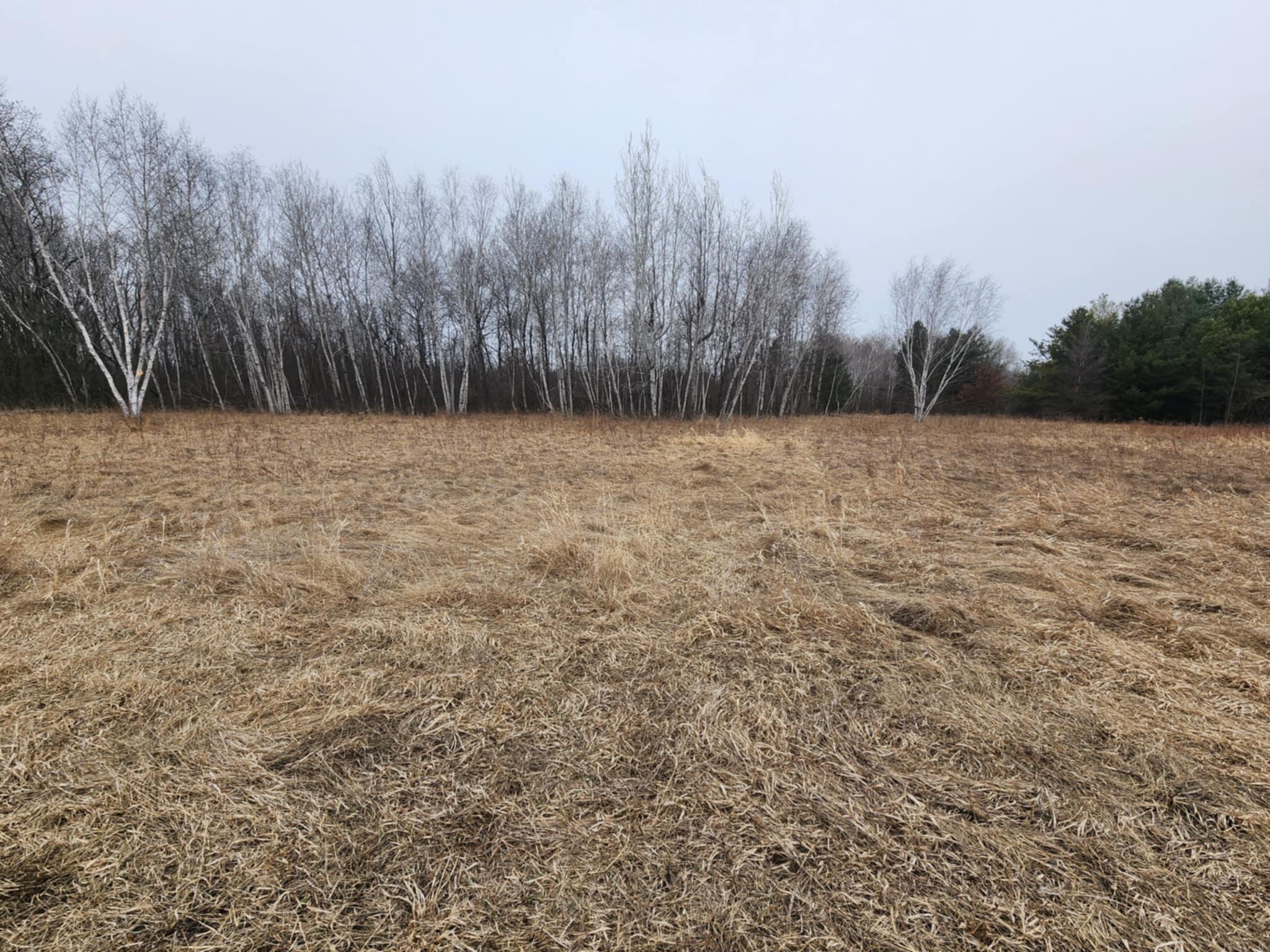 1201 Walnut Street, Mora, Minnesota image 8