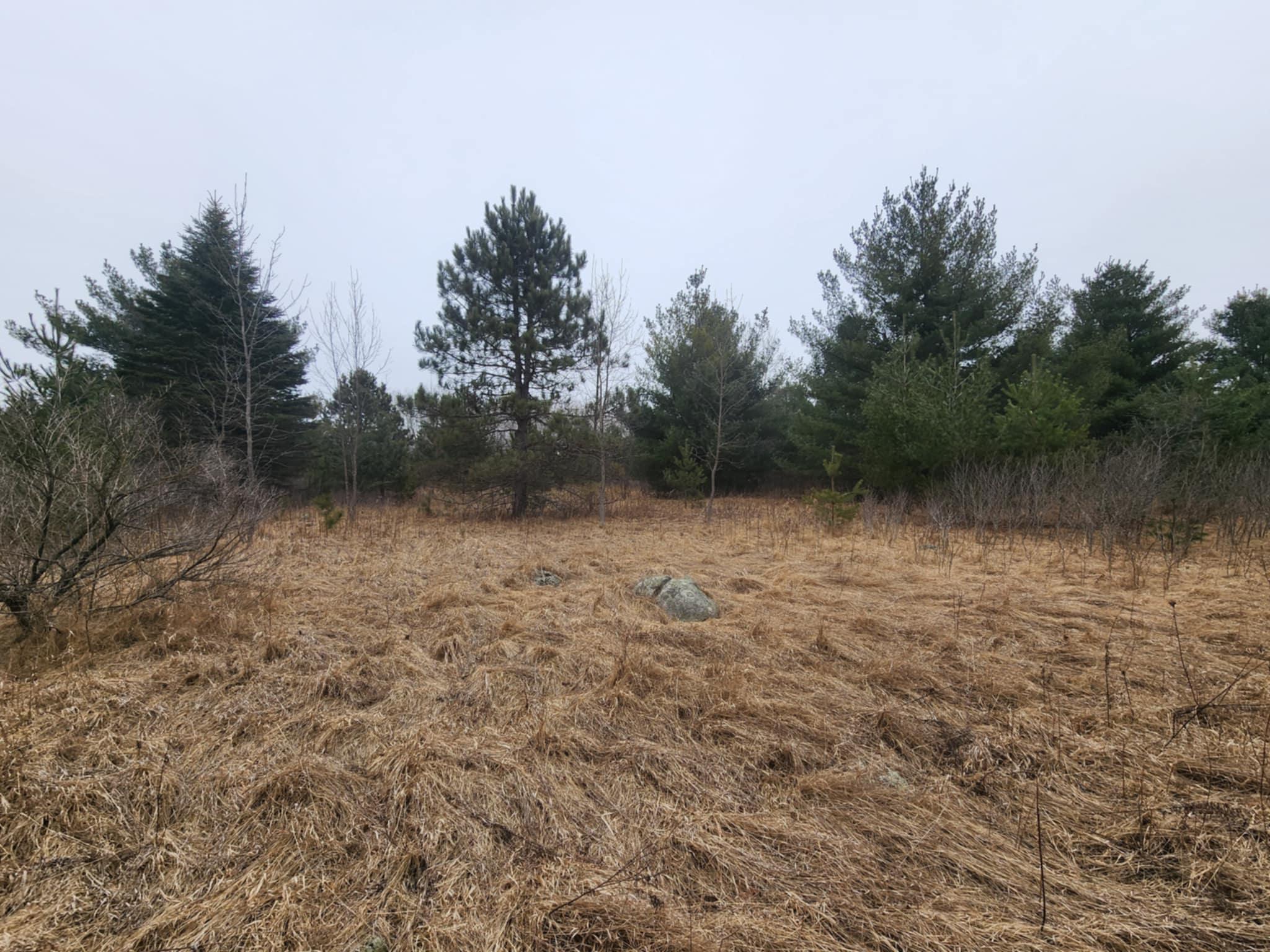 1201 Walnut Street, Mora, Minnesota image 1