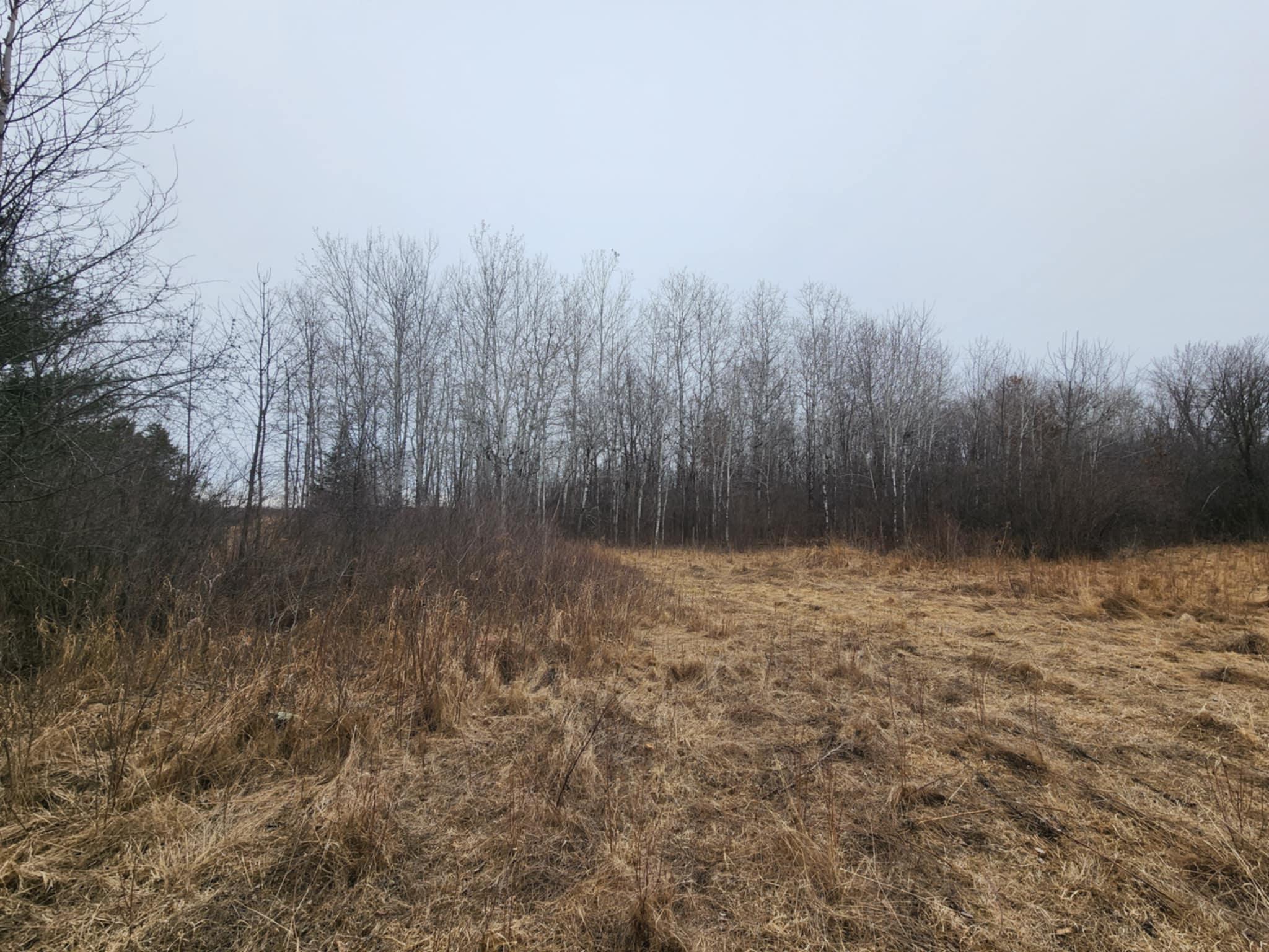 1201 Walnut Street, Mora, Minnesota image 10
