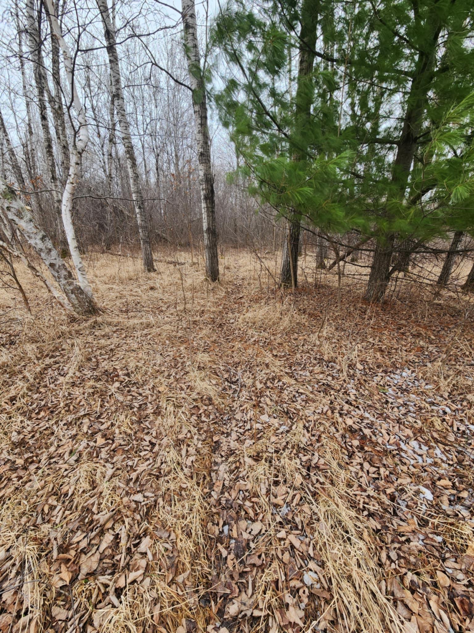 1201 Walnut Street, Mora, Minnesota image 13