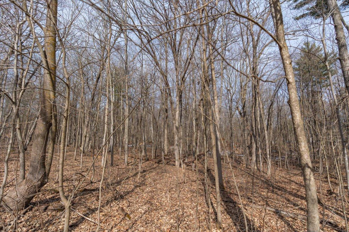XXX Lot 4 96th Avenue, Amery, Wisconsin image 11