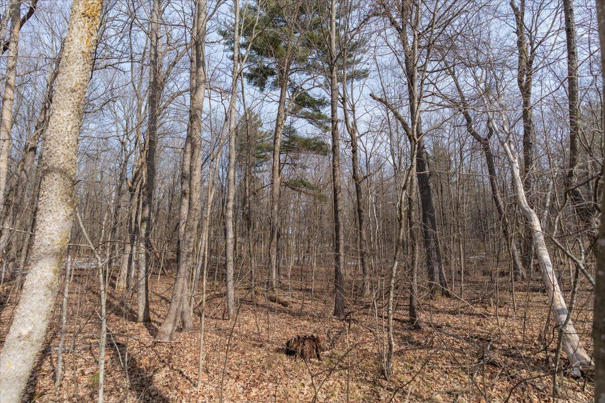 XXX Lot 4 96th Avenue, Amery, Wisconsin image 10