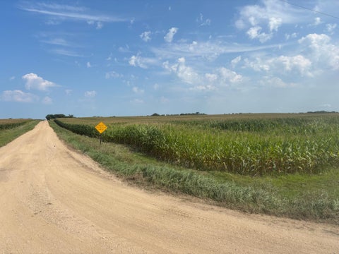 Vacant Land For Sale - 10020 83rd Street<br/> Milan, MN 56262