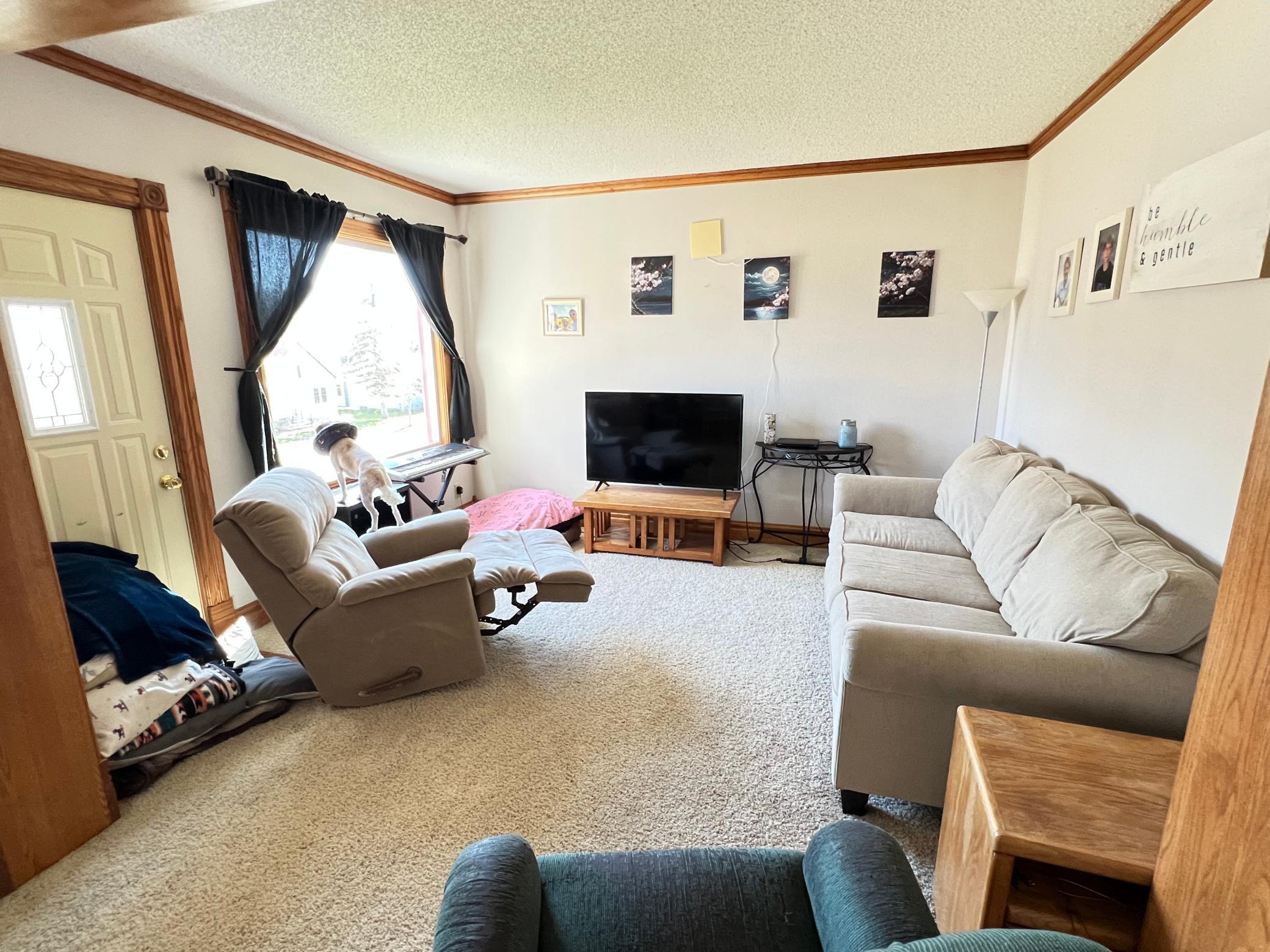 317 Fillmore Street, Preston, Minnesota image 3