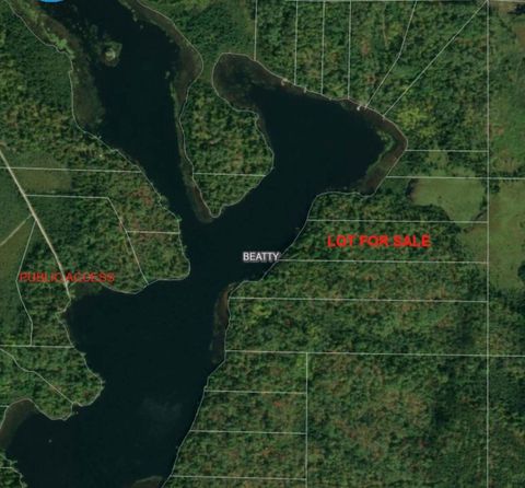 Vacant Land For Sale - TBD North Arm Elbow Lake<br/> Cook, MN 55723