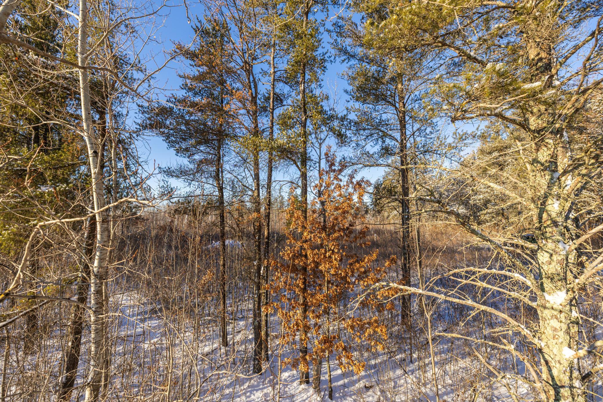 23790 360th Street, Menahga, Minnesota image 43