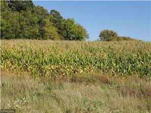 1139 178th St./dalton Farm Road, Lot 18 St, Hammond, Wisconsin image 2