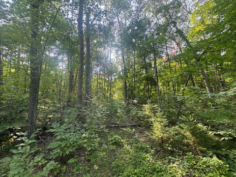 Vacant Land For Sale - TBD Howard Lake Road<br/> Cass County, Akeley, MN 56433