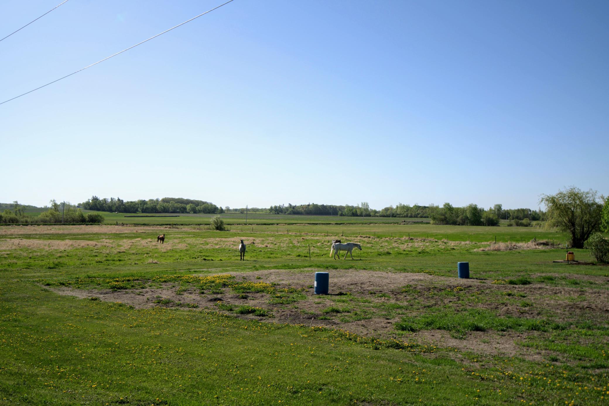 36811 235th Avenue, Browerville, Minnesota image 22