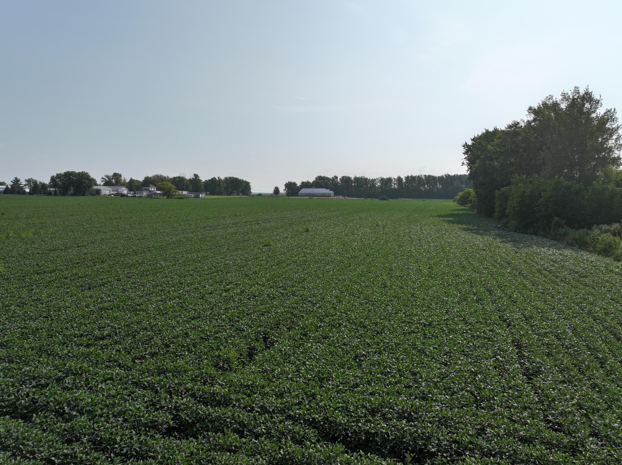 Xxxx Highway 56, West Concord, Minnesota image 11