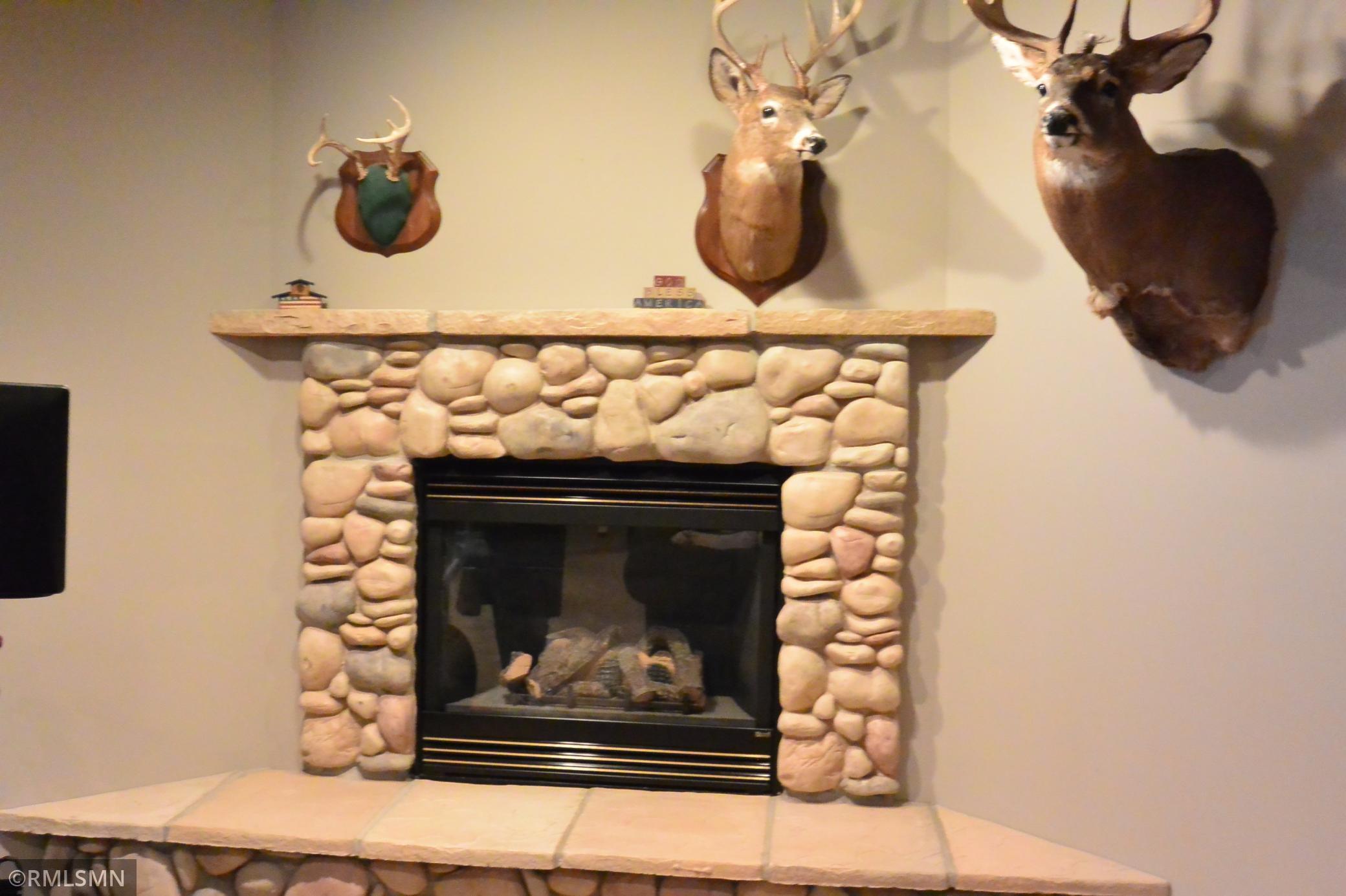 104 Fairway Drive, Glencoe, Minnesota image 42