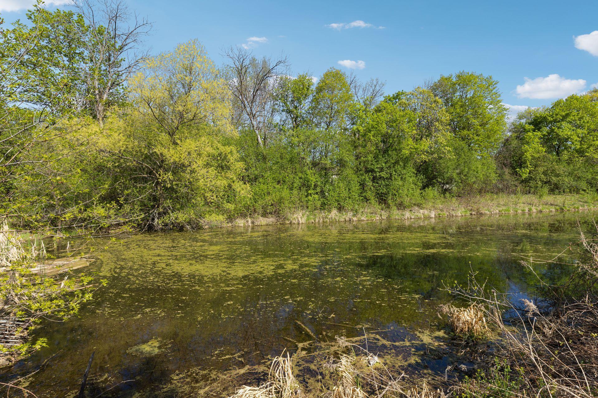 9010 Comstock Lane, Maple Grove, Minnesota image 43