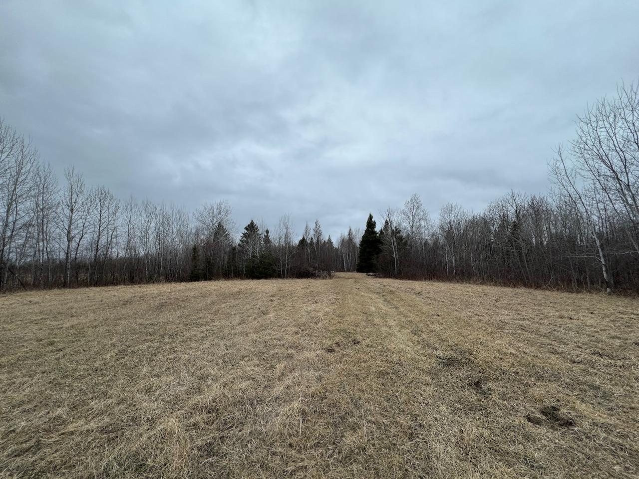 60a Hwy 1, Blackduck, Minnesota image 8