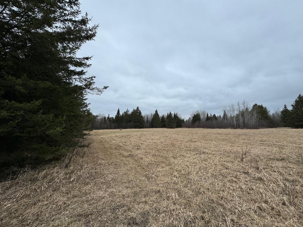 60a Hwy 1, Blackduck, Minnesota image 6