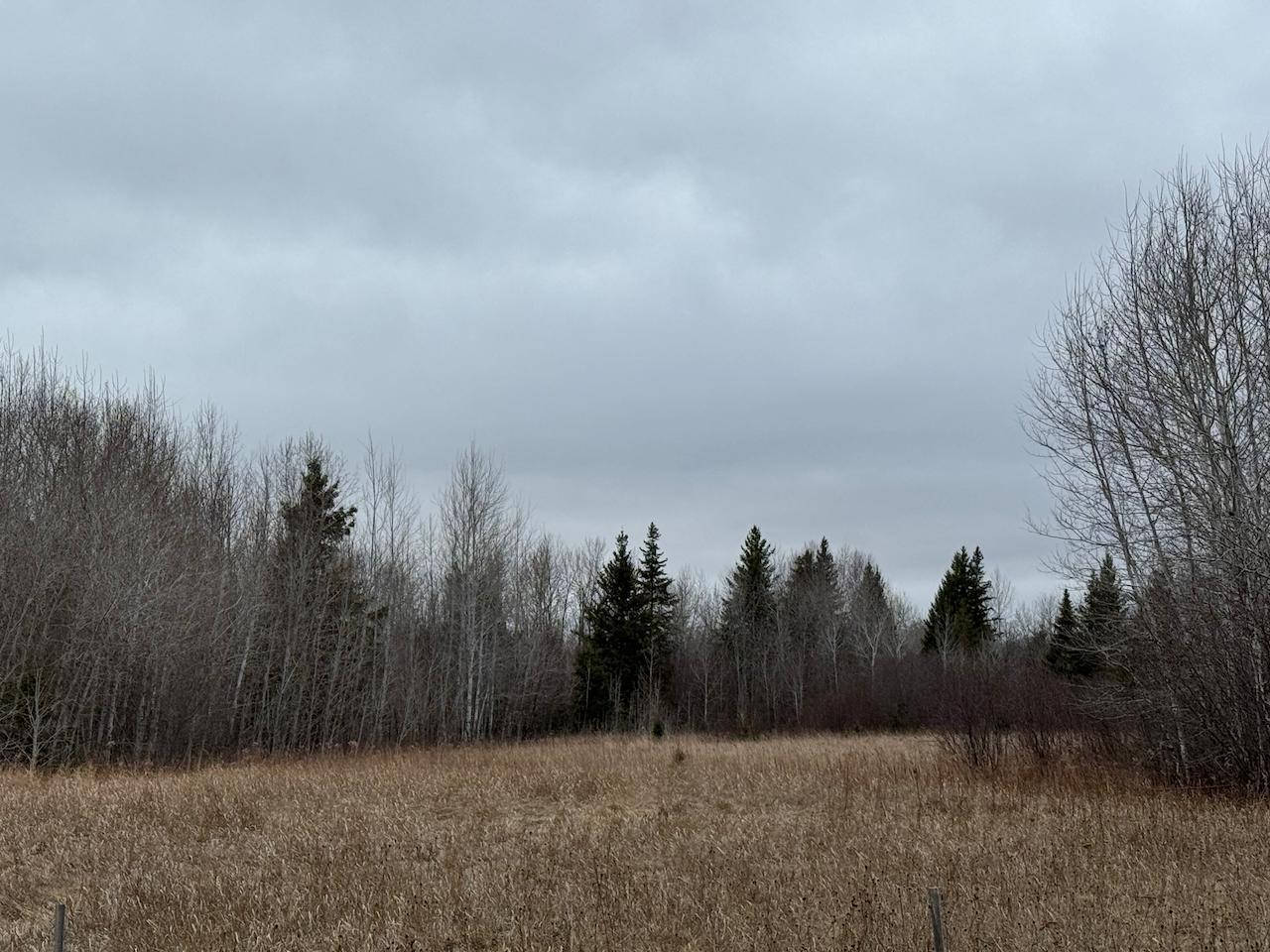 60a Hwy 1, Blackduck, Minnesota image 11
