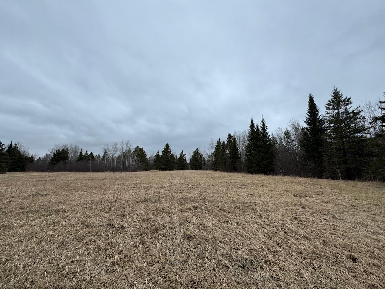 60a Hwy 1, Blackduck, Minnesota image 4