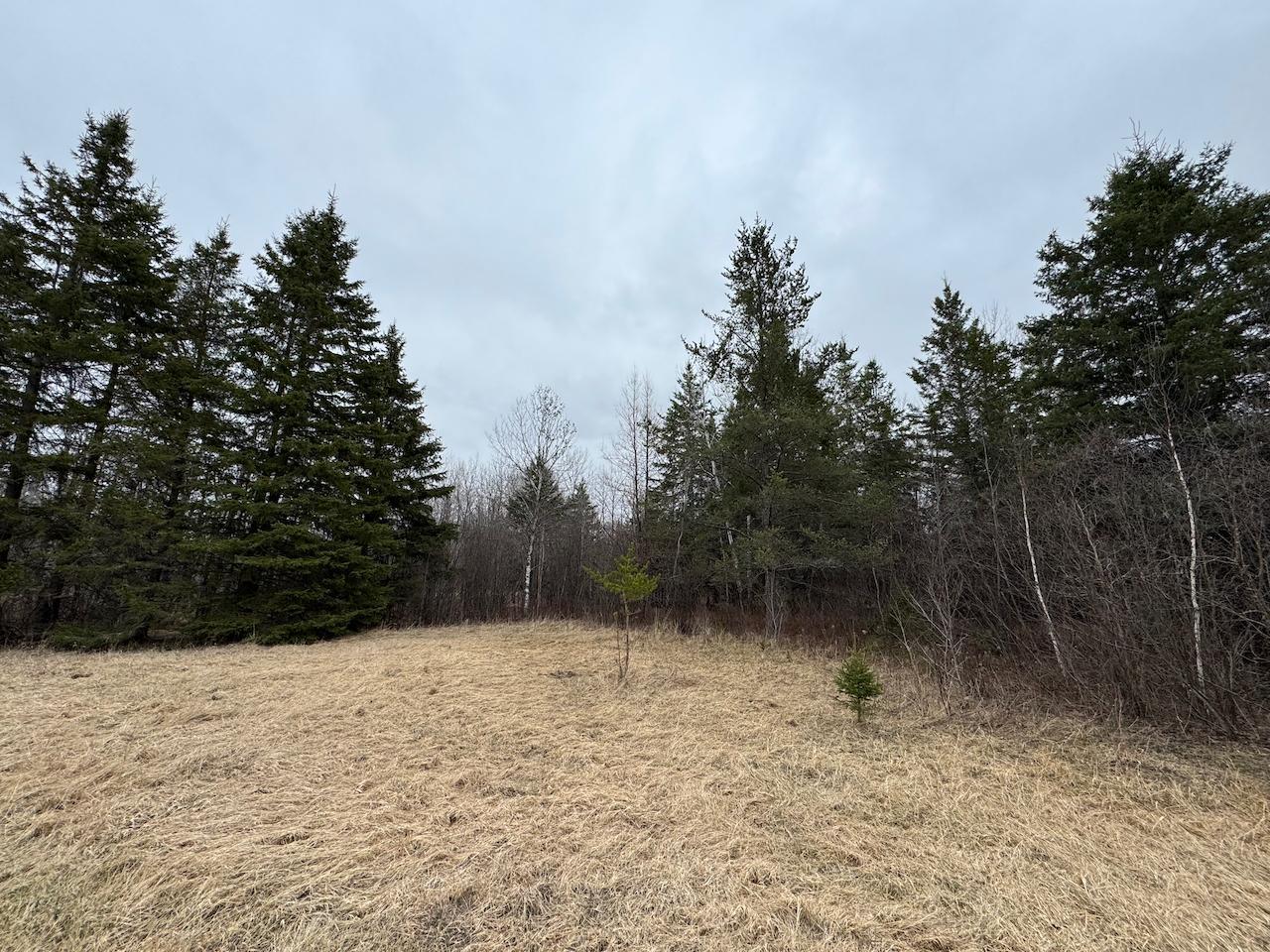 60a Hwy 1, Blackduck, Minnesota image 7