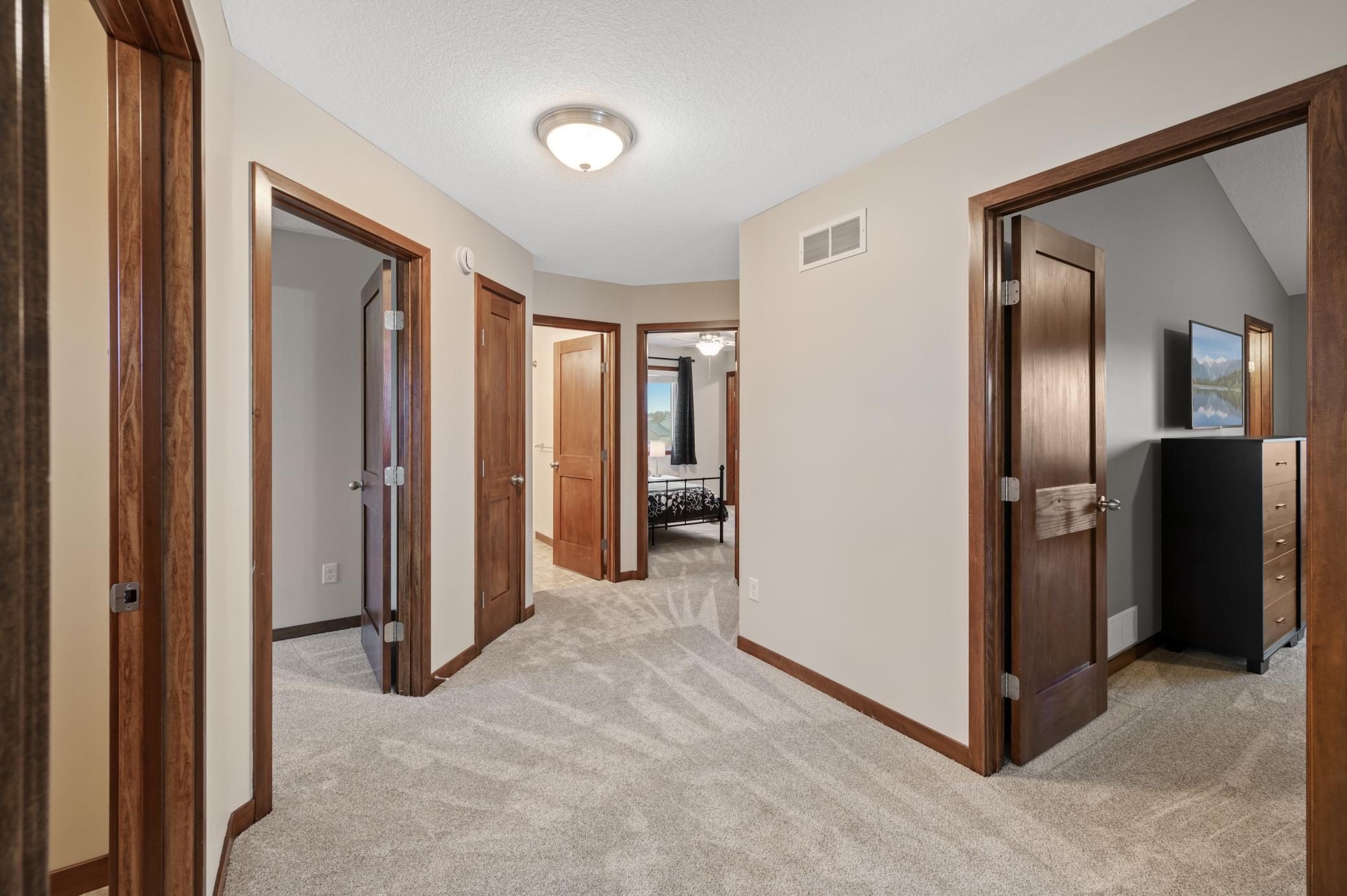 16772 Limonite Street, Ramsey, Minnesota image 24