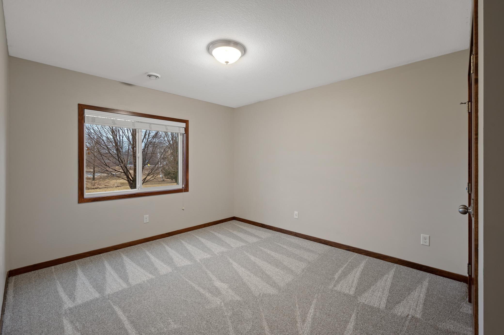 16772 Limonite Street, Ramsey, Minnesota image 40