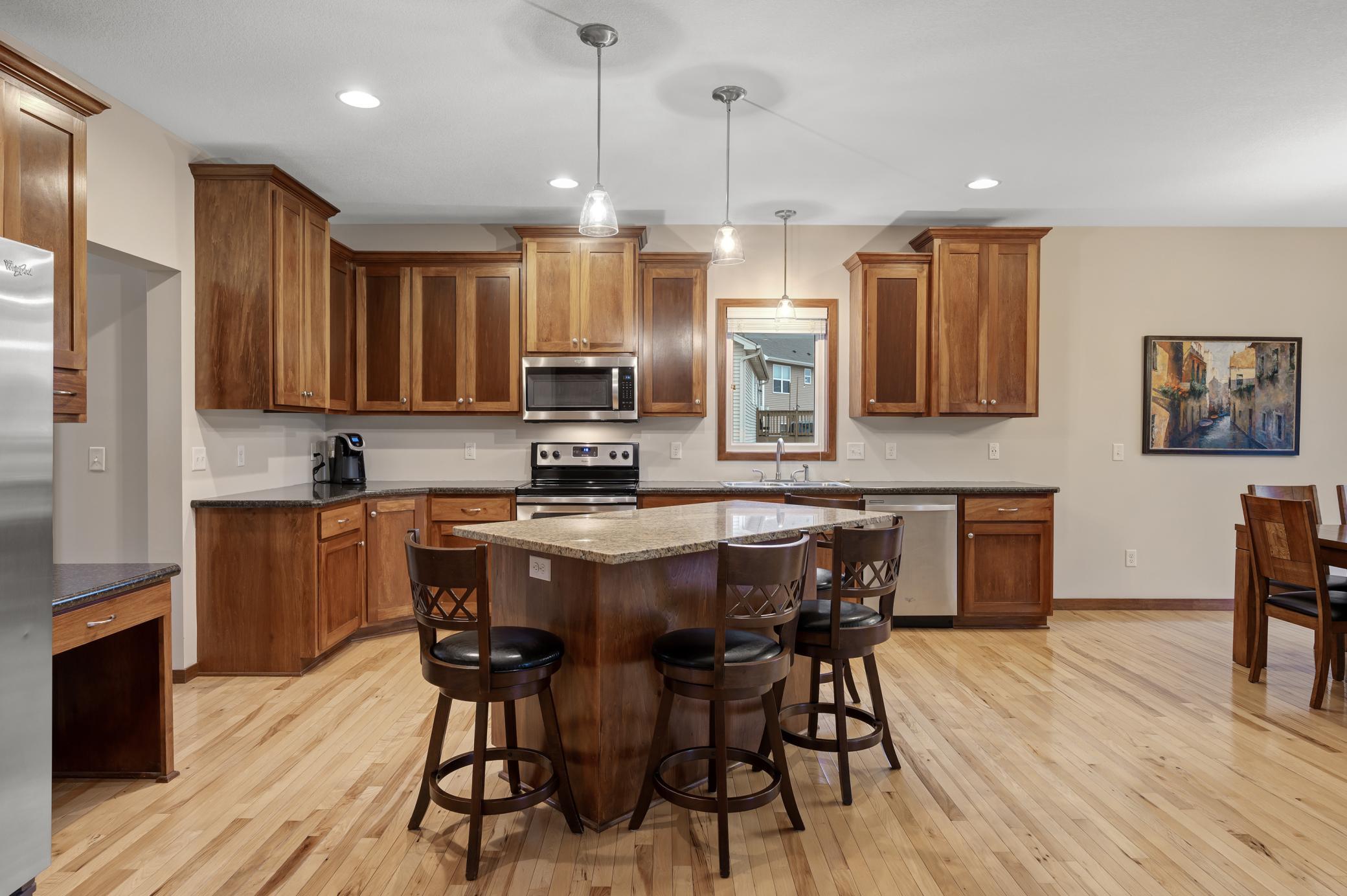 16772 Limonite Street, Ramsey, Minnesota image 10