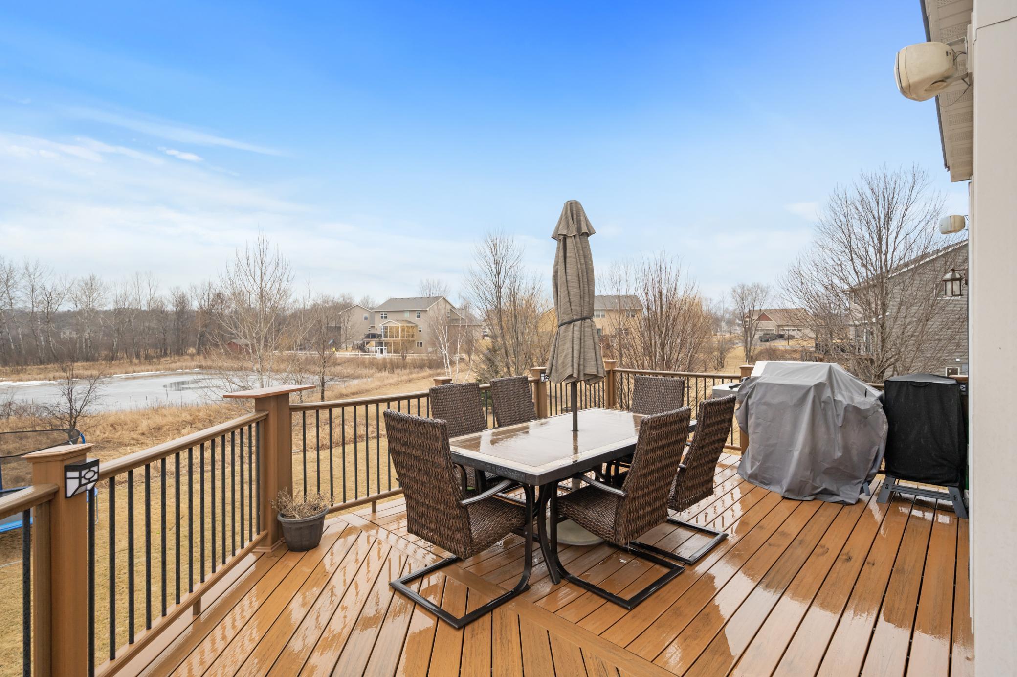 16772 Limonite Street, Ramsey, Minnesota image 43