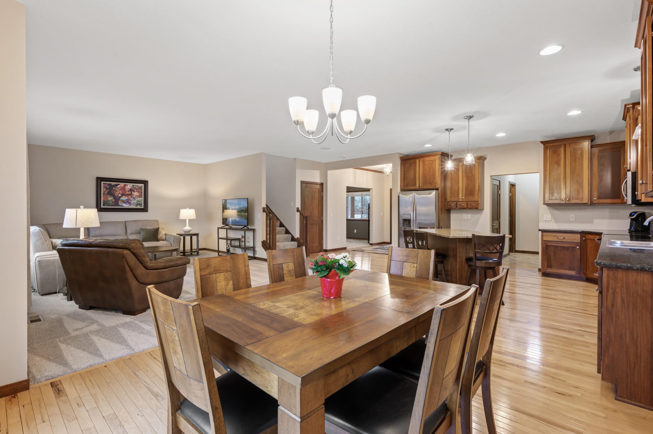 16772 Limonite Street, Ramsey, Minnesota image 17