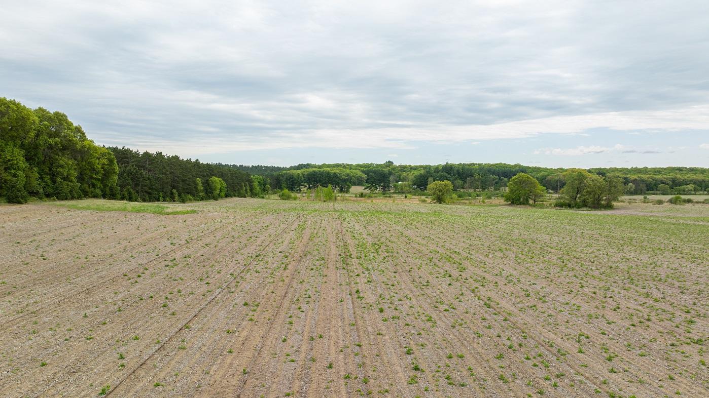 Hemlock Road, Mondovi, Wisconsin image 22