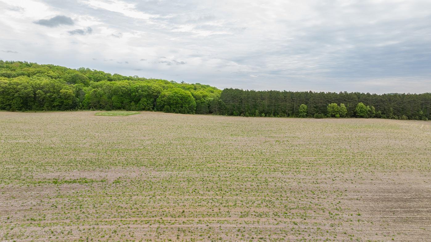 Hemlock Road, Mondovi, Wisconsin image 16