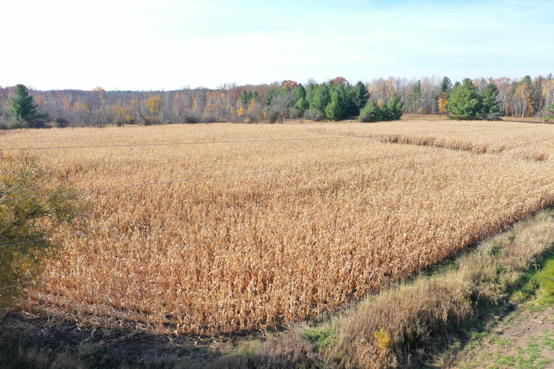 XXX Lara Road, Grantsburg, Wisconsin image 1