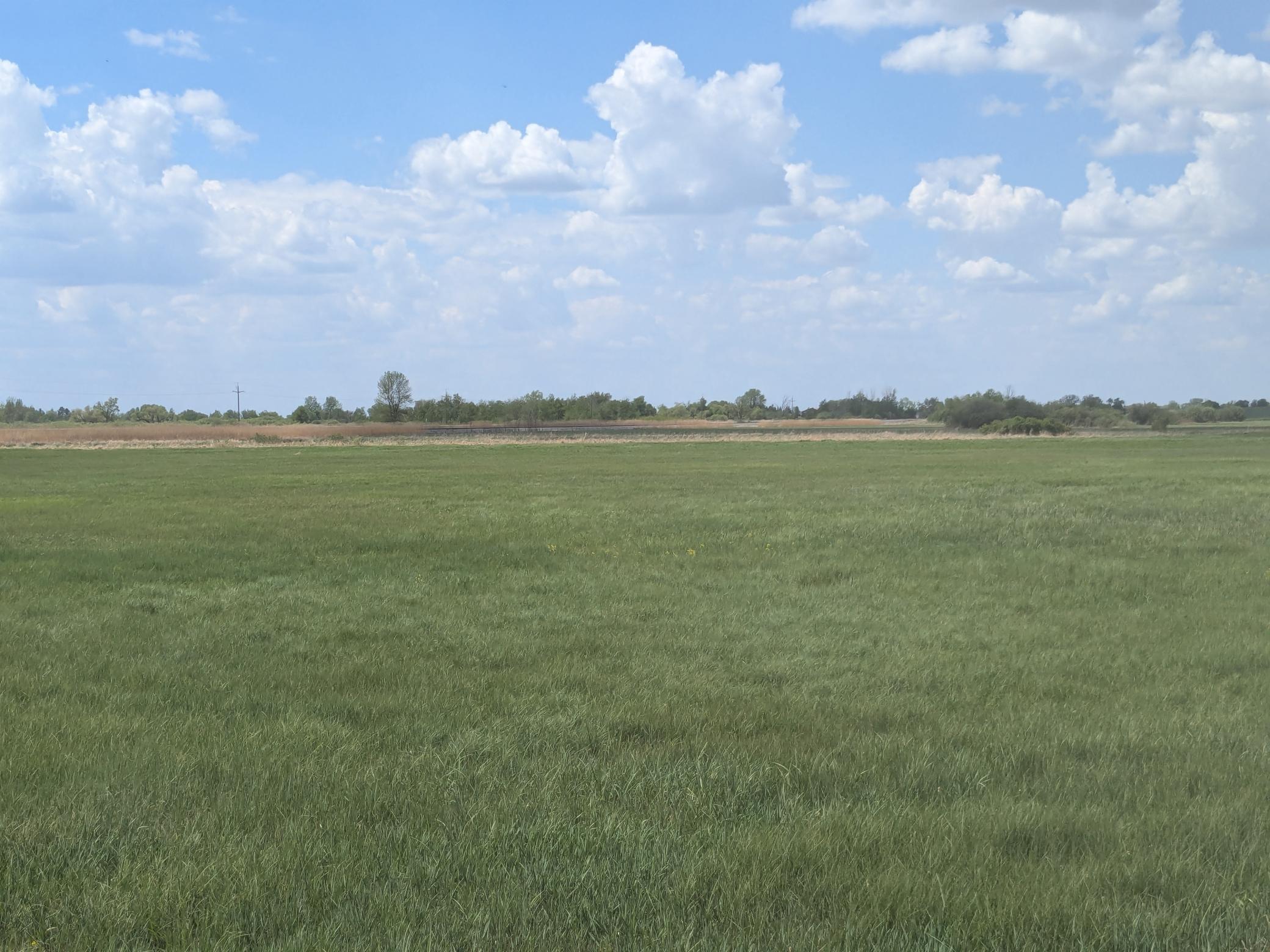 46068 Glendale Road, Brooten, Minnesota image 7