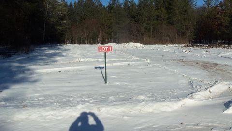 Vacant Land For Sale - 13786 Canute Creek Trl<br/> Grantsburg, WI 54840