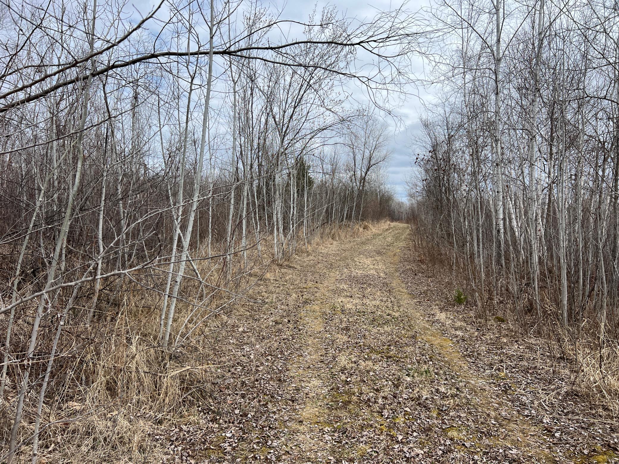 000 Blueberry Island Rd, Hinckley, Minnesota image 11